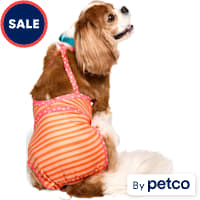 YOULY UPF-Protection One-Piece Dog Swimsuit