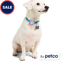YOULY Tech Tag Holder for Pet Collars up to 1/2" W