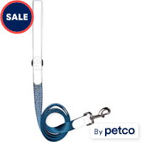 Reddy Reflective Dog Leash