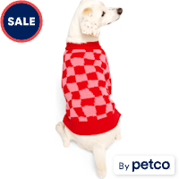 YOULY Pink & Red Checkered Pet Sweater