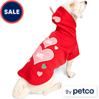 YOULY Kiss Me Valentine Pet Hoodie