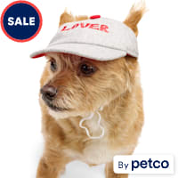 YOULY Lover Baseball Cap Pet Hat