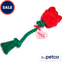 YOULY Rose Plush Rope Dog Toy