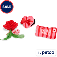 YOULY Valentine's Day Catnip Gift Set