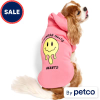 YOULY Pop Art Kindness Melts Hearts Pet Hoodie