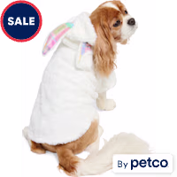 YOULY Easter Bunny Pet Hoodie