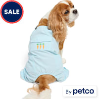 YOULY Easter Pet Overalls