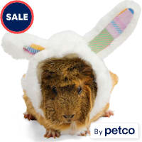 YOULY Easter Bunny Small Animal Hoodie