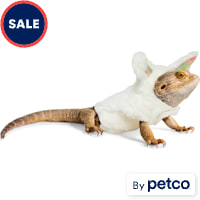 YOULY Easter Bunny Bearded Dragon Hoodie