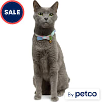 YOULY Easter Breakaway Cat Collar