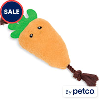YOULY Easter Carrot Rope Dog Toy