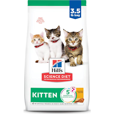 3 month kitten food clearance