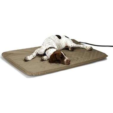Dog beds for urinary incontinence cheap