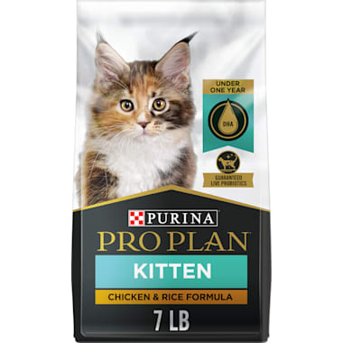 Kitten picky eater best sale
