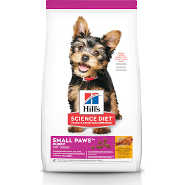 Morkie Puppy Food Petco