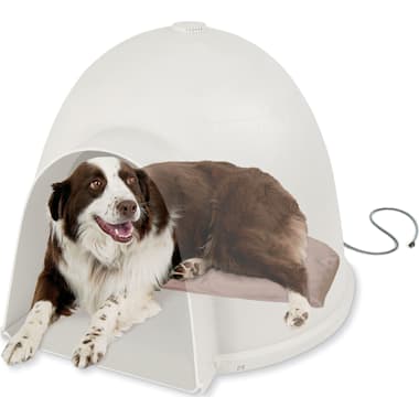 Cat Igloo House Petco