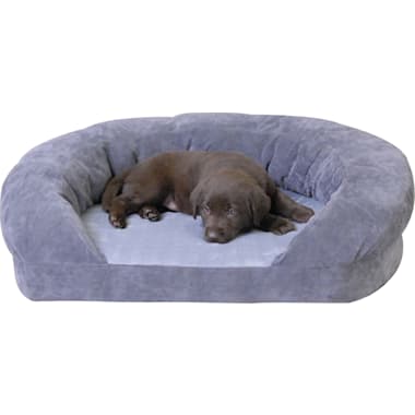 Kong dog bed petco clearance