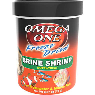 Petco brine shrimp online