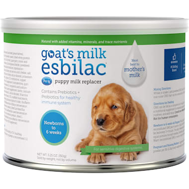 Bil jac hotsell puppy food petco