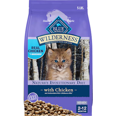 Kitten food store for nursing cats