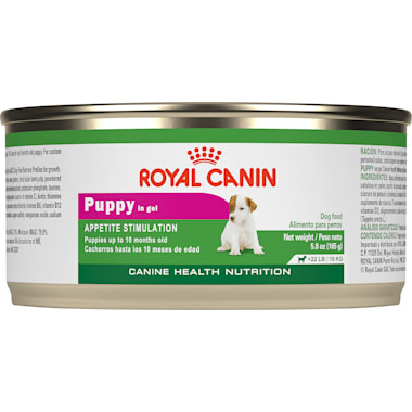 Petco royal best sale canin boxer