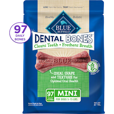 Blue dental top bones reviews