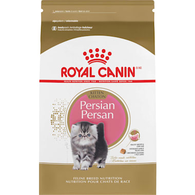 Best Food For Persian Kitten of 2024 According to Customers