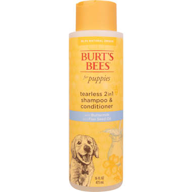 Best shampoo for online poodles