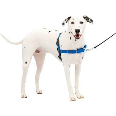 Sensation clearance harness petco