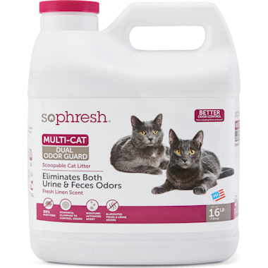 Best cat litter for ragdolls 2025