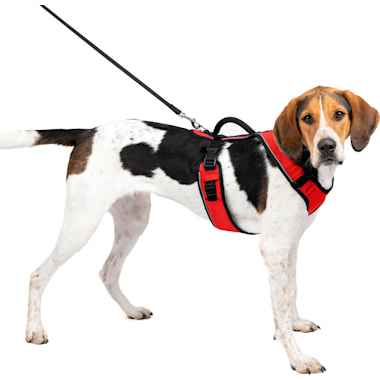 Emotional support animal deals vest petco
