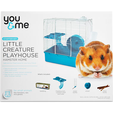 Hamsters for sale at petco clearance