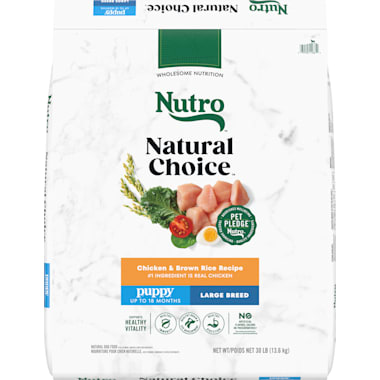 Pitbull puppy food to gain weight shop