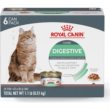 Best cat food for british deals shorthair