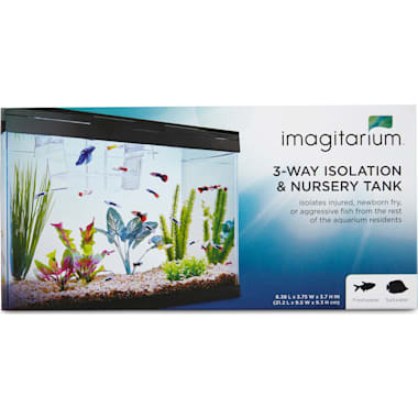 The 7 Best Small Fish Tanks of 2024