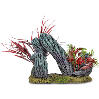Petco fish shop tank rocks