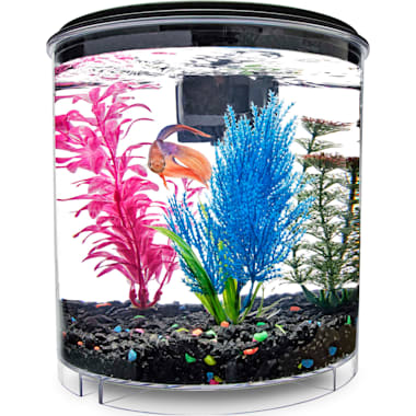 The 7 Best Small Fish Tanks of 2024