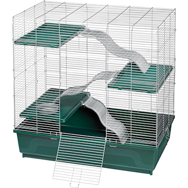 Petco deals rat manor