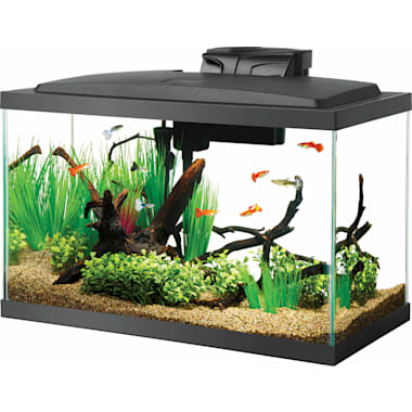 100 gallon outlet fish tank petco