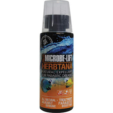 Petco cheap fish mox