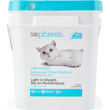 Bulk cat litter top petco