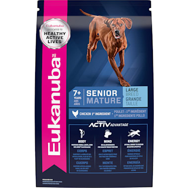 Dog food for senior dogs with bad teeth store