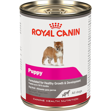 Food For Pregnant Dog Petco