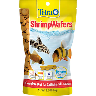 Bottom feeder 2025 fish petco
