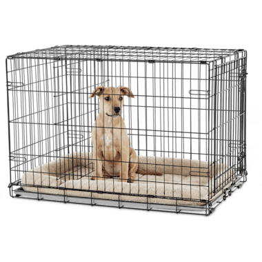 Dog Crate In Kitchen