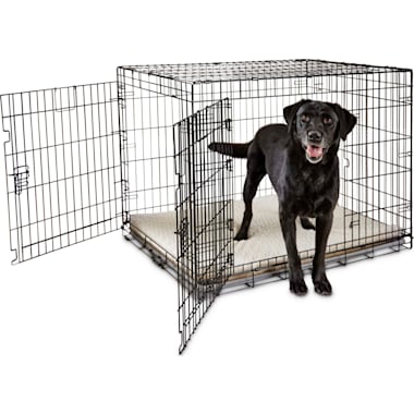 Fencemaster kennel 10x10x6 online