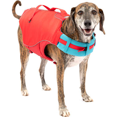 Petco dog shop life vest
