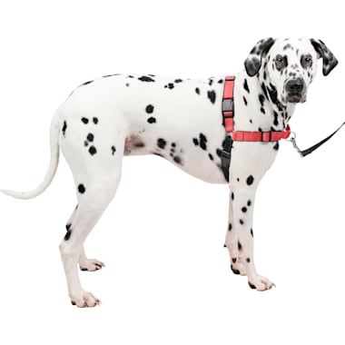 Best No Pull Dog Harnesses of 2024 According to Customers Updated