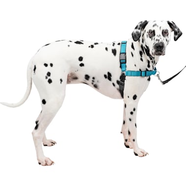 Gentle Lead For Dogs Petco