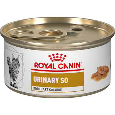 Low magnesium sales cat food